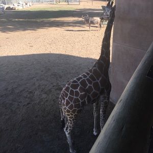 Meet your Posher, Martha